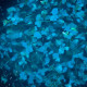 Гель-лак Do it FLOWER GEL с сухоцветами №1 Голубой, 5 мл