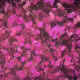 Гель-лак Do it FLOWER GEL с сухоцветами №3 Нежно-розовый, 5 мл