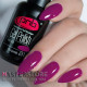 Гель-лак PNB 231 Burgundy, 8 мл