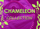 Chameleon Collection